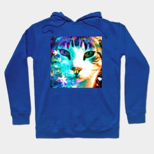 Kitty Cat with a Flower Pattern Hoodie